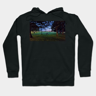 Edinburgh Meadows Dusk Hoodie